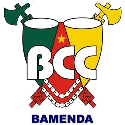 Bamenda City Council logo